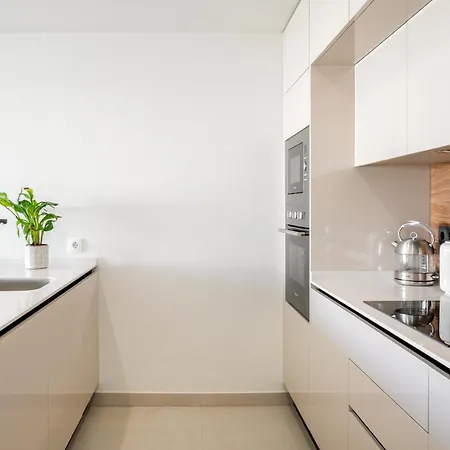 Private Jacuzzi, Heated Pool, Summer Kitchen, Ac Apartment Torrevieja